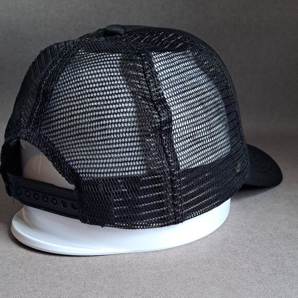 Pete's Dragon New Zealand 2015 Camera USED Hat (Snapback, Disney, Operator) - Picture 6 of 11